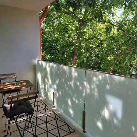 Starlight Double * Segedín